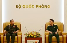 Personnel training a strategic issue in Vietnam - Lao defence ties: official