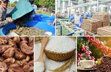 Nine agricultural items surpass 1-billion-USD mark in export turnover