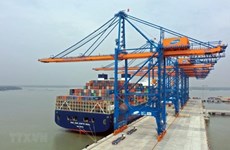 Shipping route connecting central Vietnam, India inaugurated