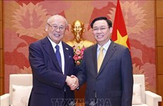 Top legislator hosts special advisor to Japan - Vietnam Friendship Parliamentary Alliance
