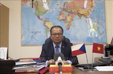 Vietnamese Embassy in Czech Republic active in addressing new passport-related issues