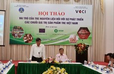 Vietnam bamboo association to be established
