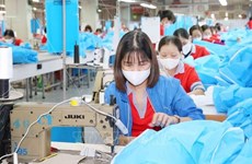 Garment-textile exports set to hit 45.7 billion USD this year