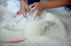 Vietnam’s rice exports jump 20% in seven months