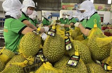 Long way to go for Vietnamese durians