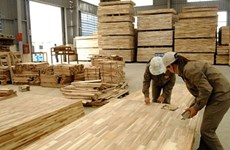 US extends duty evasion investigation into plywood from Vietnam
