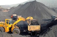 Vietnam to increase coal imports in 2025-2035 period: Ministry