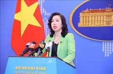 Ministries work to smooth out problems with new version of Vietnamese passport