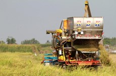 Thailand approves agricultural plan for Eastern Economic Corridor provinces