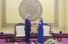 Vietnamese, Lao localities forge cooperation