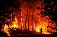 Sympathy offered to France over serious forest fire