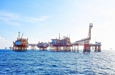 PetroVietnam rolls out measures to facilitate energy transition