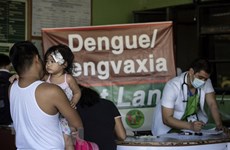 Dengue cases in Philippines shoot up in seven months