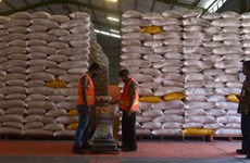 Indonesia’s rice reserves secured until year's end