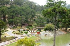 Da Lat listed among world’s best places for binge-worthy dating by Booking.com