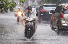 Vietnam’s mainland may be hit by 3-5 storms from now to early 2023