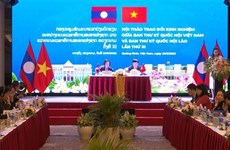 Vietnamese, Lao NAs hold 11th exchange
