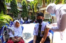 Indonesia to put into use two home-grown COVID-19 vaccines