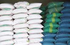 Farmers in south-central provinces receive rice before harvest season