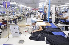 Textile - garment exports to grow further this year