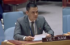 Vietnam proposes UNDP be creative in mobilising resources for development