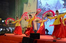 Vietnam – RoK Festival 2022 opens in Da Nang  