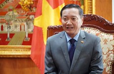 Ambassador: Vietnam, Laos determined to foster relations  