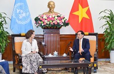 Vietnam looks to UNESCO’s support for World Heritage Committee candidacy: FM