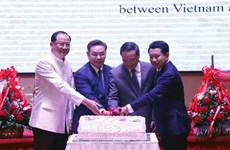 Diplomacy plays great role in growth of Vietnam-Laos ties: Ambassador
