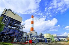 Can Tho approves investor for big thermal power plant