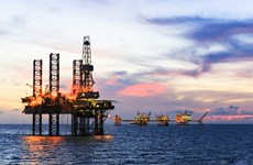 Petrovietnam plays crucial role in different aspects