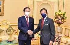 Vietnam – an important partner of Brunei: Sultan Haji Hassanal Bolkiah 