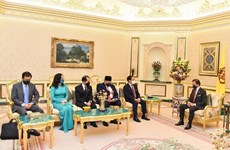 Vietnam – an important partner of Brunei: Sultan Haji Hassanal Bolkiah 