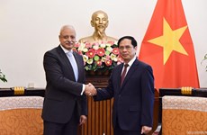 Vietnam aims to reinforce relations with Egypt: FM