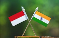Indonesia, India discuss IPEF regional cooperation