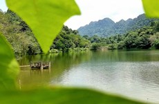 Cuc Phuong National Park again wins at World Travel Awards 2022