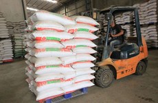 Cambodia’s rice exports up over 13% in eight months