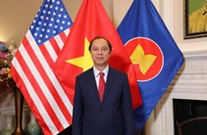Vietnam takes important strides in relations with US: ambassador