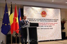 Vietnam’s relations with Belgium, EU now at their prime: ambassador