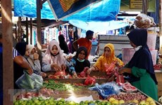 Indonesia to spend over 6 billion USD to ensure food security in 2023