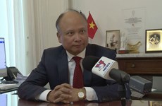 Vietnamese Embassy in France to press on with economic diplomacy: Ambassador
