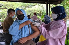 Indonesia joins global vaccine network