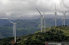 Indonesia, France study low-carbon transition risk