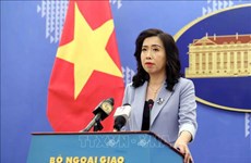 Vietnam rejects some int’l NGOs’ prejudices on human rights situation