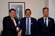 Indonesia, South Africa seek cooperation opportunities