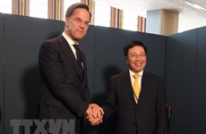 Vietnam boosts cooperation with Netherlands, African countries