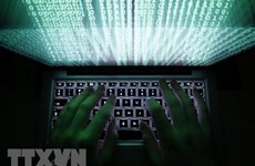 Nearly 3,000 IP addresses in Vietnam linked with data leak