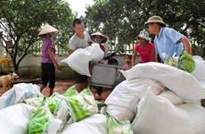 Rice aid to be delivered to the needy in Soc Trang, Nghe An