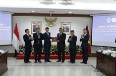 Vietnam, Indonesia share audit experience