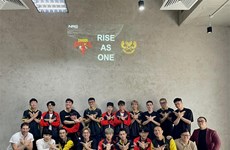Vietnamese esports teams to compete at world championships